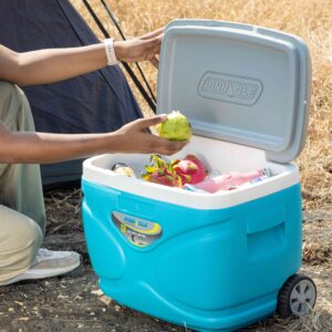 צידנית קשיחה עם גלגלים 30/45/66 ליטר – שומרת קור עד 120 שעות | PINACLEE PRUDENCE